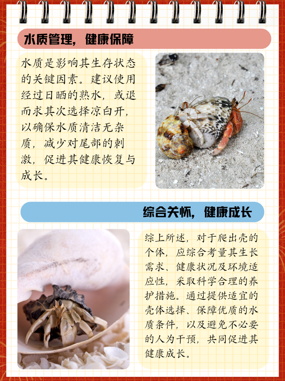 寄居蟹有寄生虫吗(寄居蟹的寄生虫会跑到人身上吗)