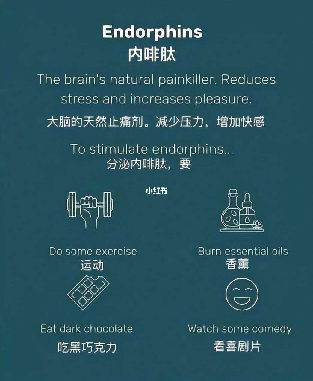 多巴胺和内啡肽_(多巴胺和内啡肽哪个更快乐)