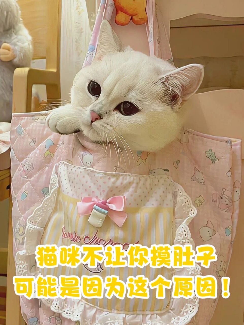 摸肚子_(摸肚子怎么判断怀孕)