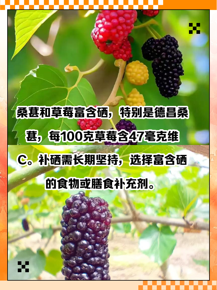 含硒的食物-(含硒的食物排行榜前十名)