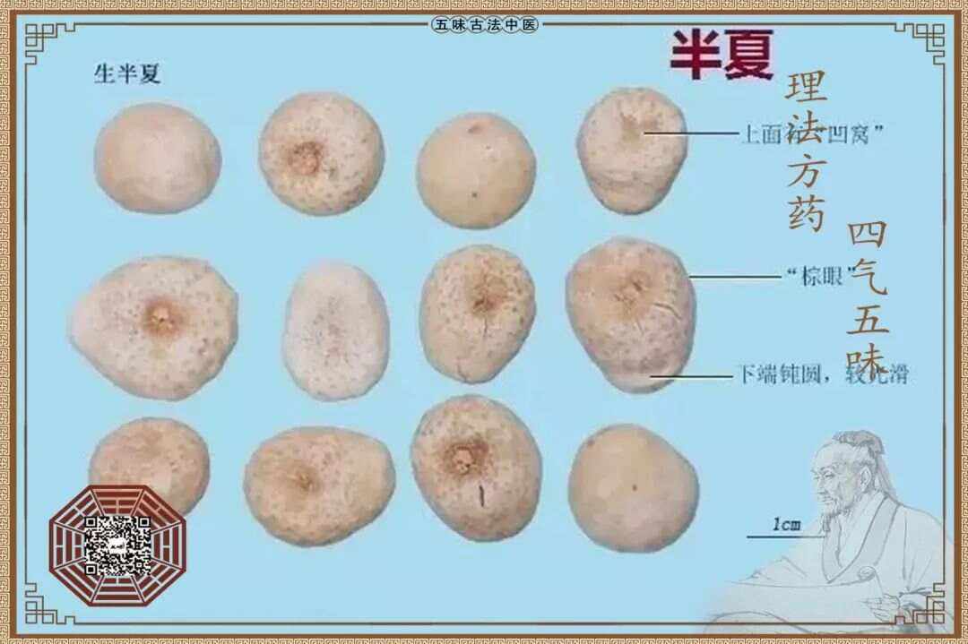 二陈丸的副作用-(二陈丸的副作用和危害)