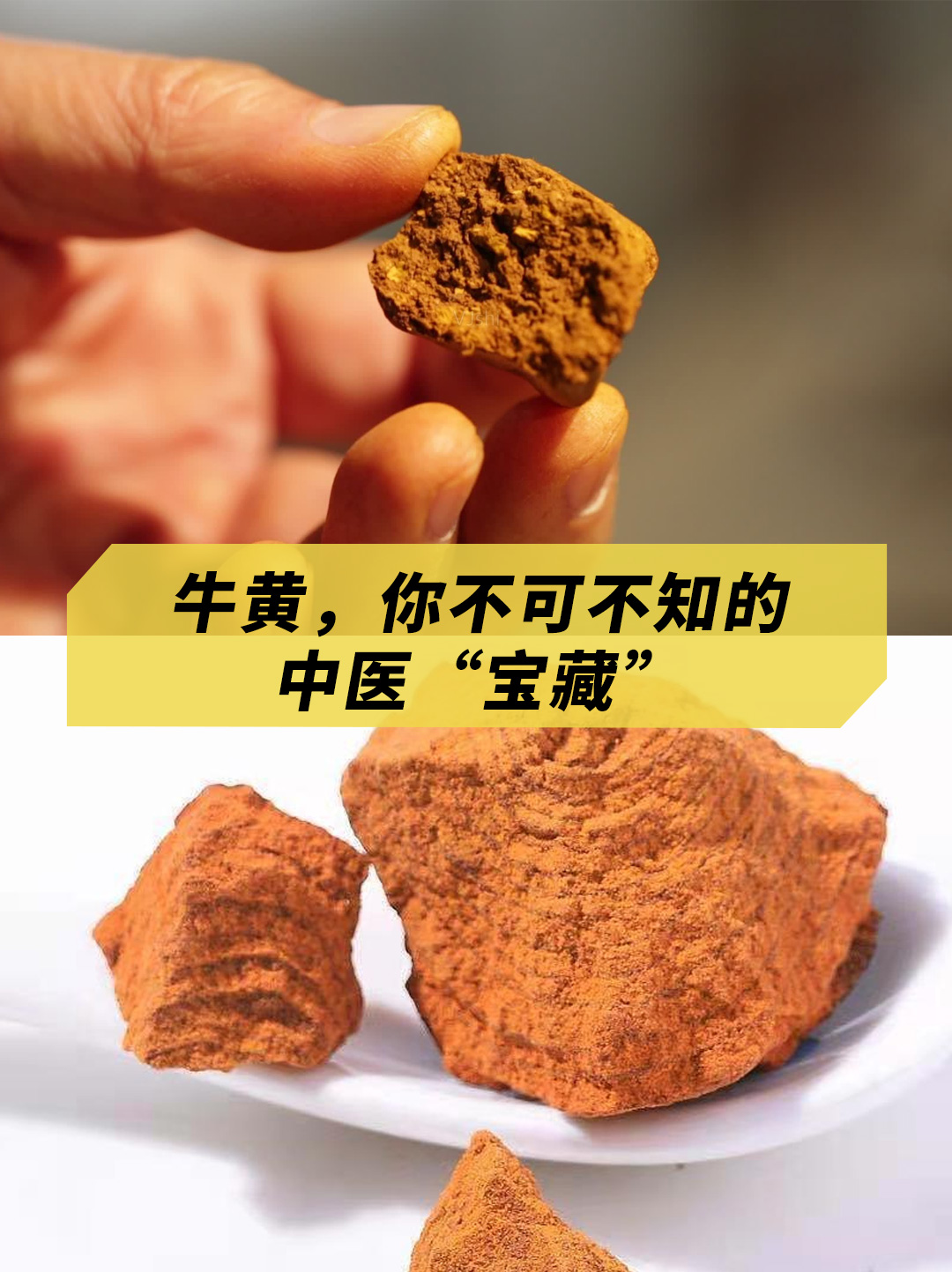 牛黄散-(牛黄散清胶囊)