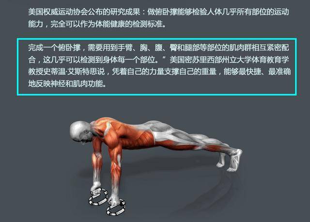 怎么做俯卧撑_(怎么做俯卧撑才能又快又不累)