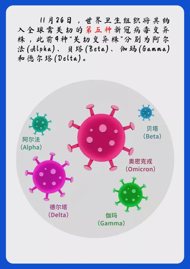 病毒分类-(埃博拉病毒分类)