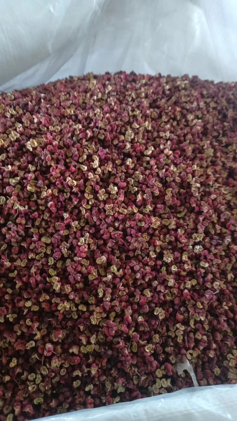 花椒是麻椒吗(花椒是麻椒吗图片)