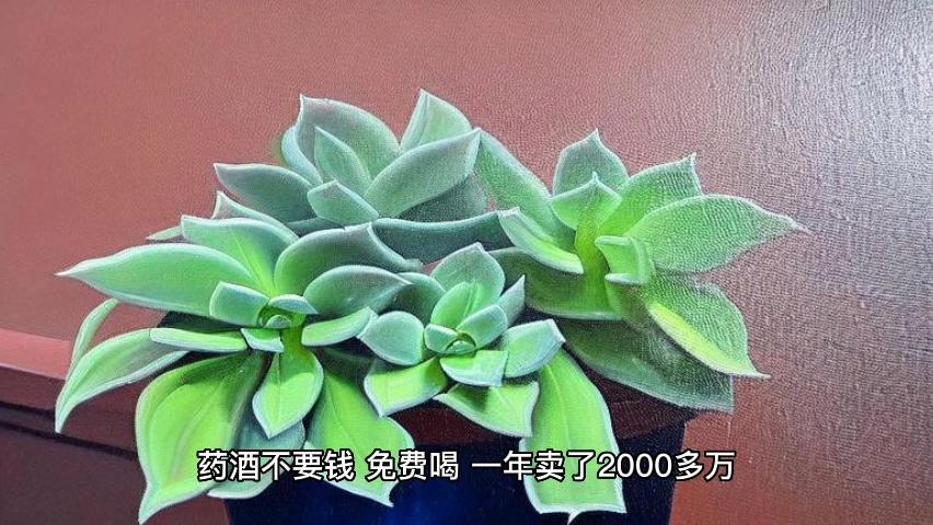 外用药酒_(外用药酒配方)