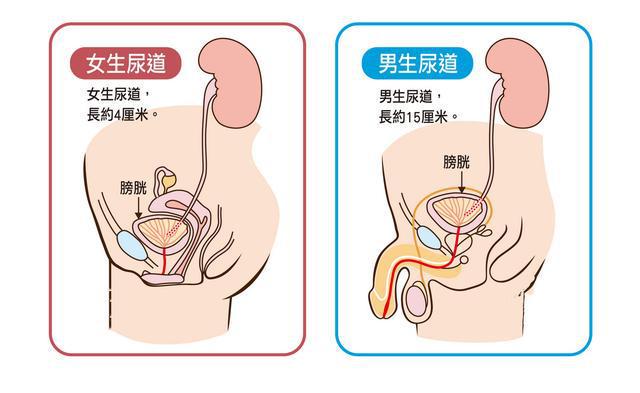 男生插入女生下面(插曲的痛免费观看完整版)