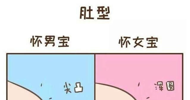 平底锅肚型(孕妇平底锅肚型是腹直肌分离吗)
