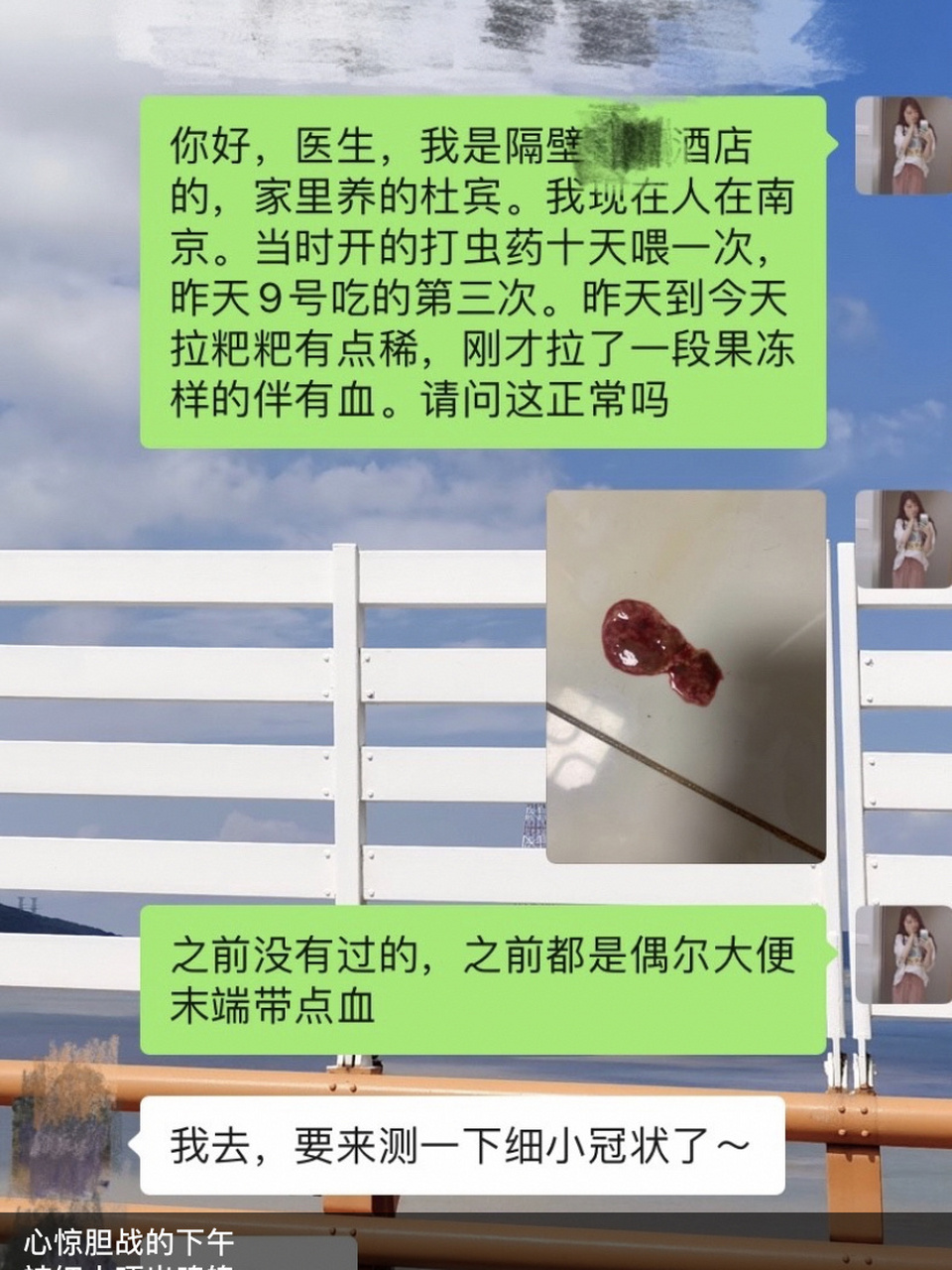 拉屎滴血(拉屎滴血怎么治疗)