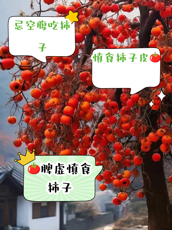 发烧能吃柿子吗-(发烧能吃柿子吗大人)