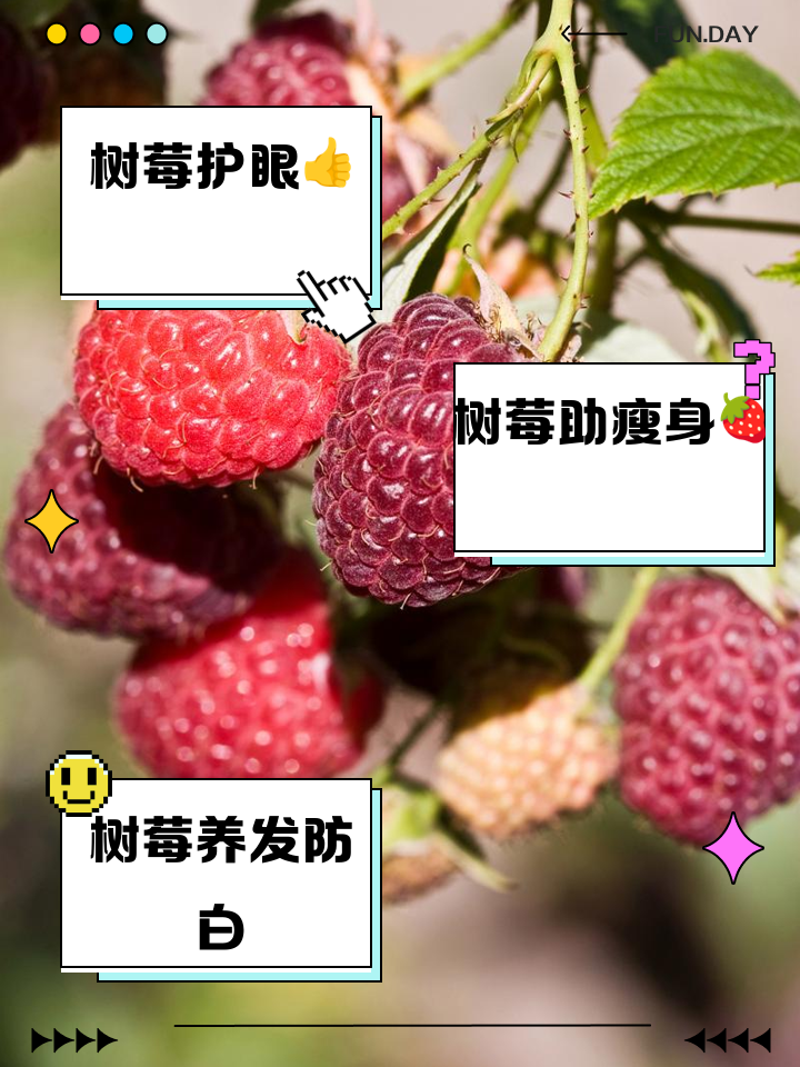 孕妇可以吃树莓吗-(孕妇可以吃草莓吗对胎儿好吗)