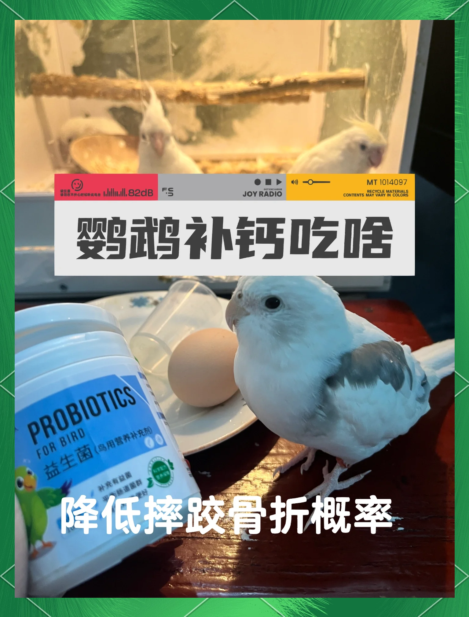 鸟肉的功效与作用-(鸟肉的功效与作用以及营养价值)