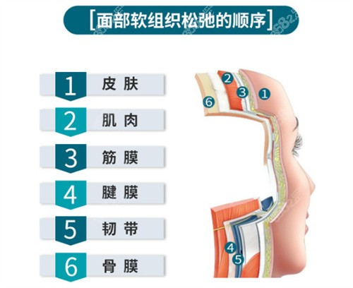 皮肤层次-(皮肤层次顺序)