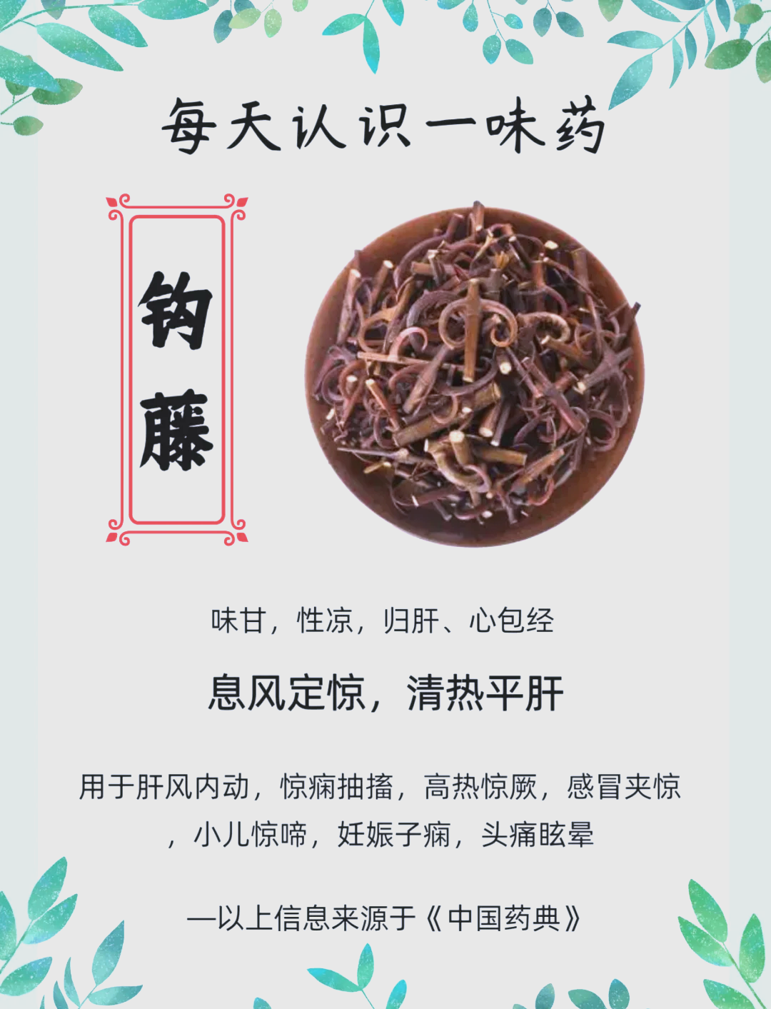 钩藤的功效和作用_(钩藤的功效和作用降血压的草药)