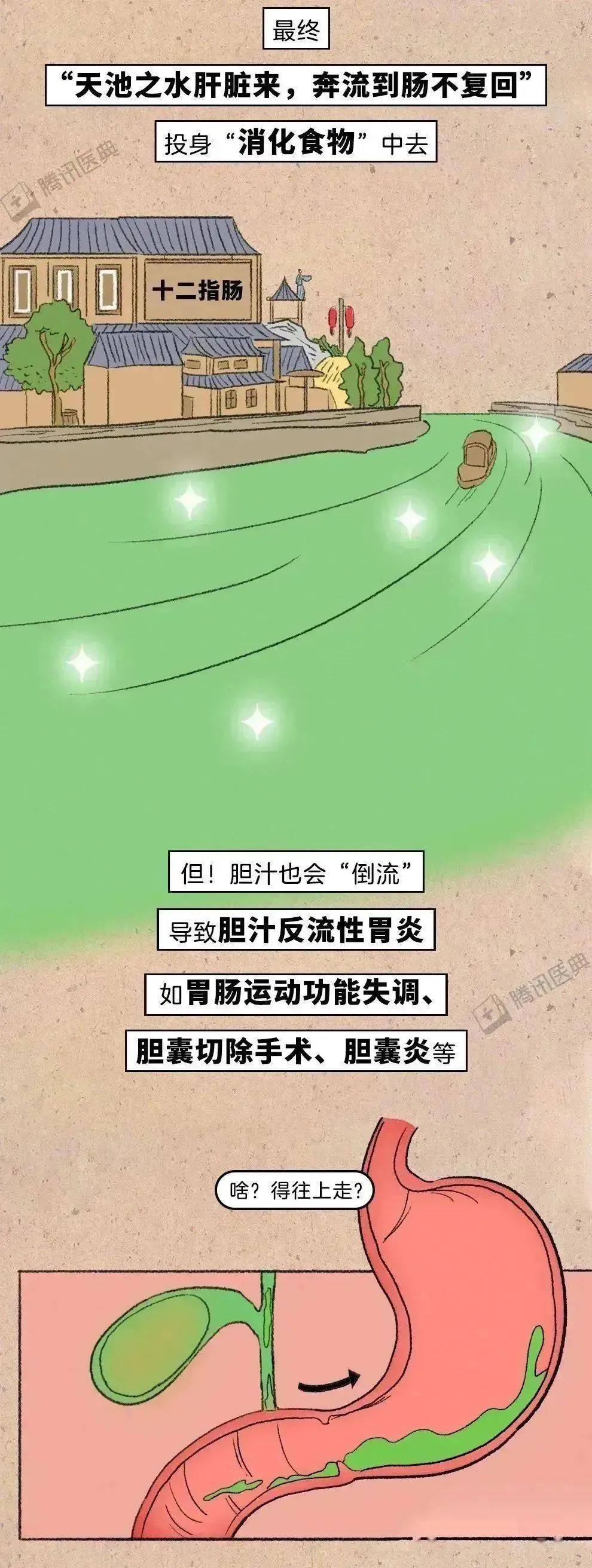 不吃饭会怎么样-(七天不吃饭会怎么样)