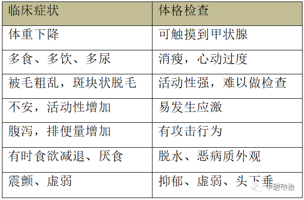 甲亢检查哪几项_(甲亢检查哪几项需要空腹)