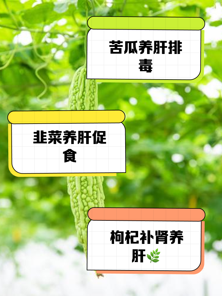 护肝养肝吃什么好_(春天护肝养肝吃什么好)
