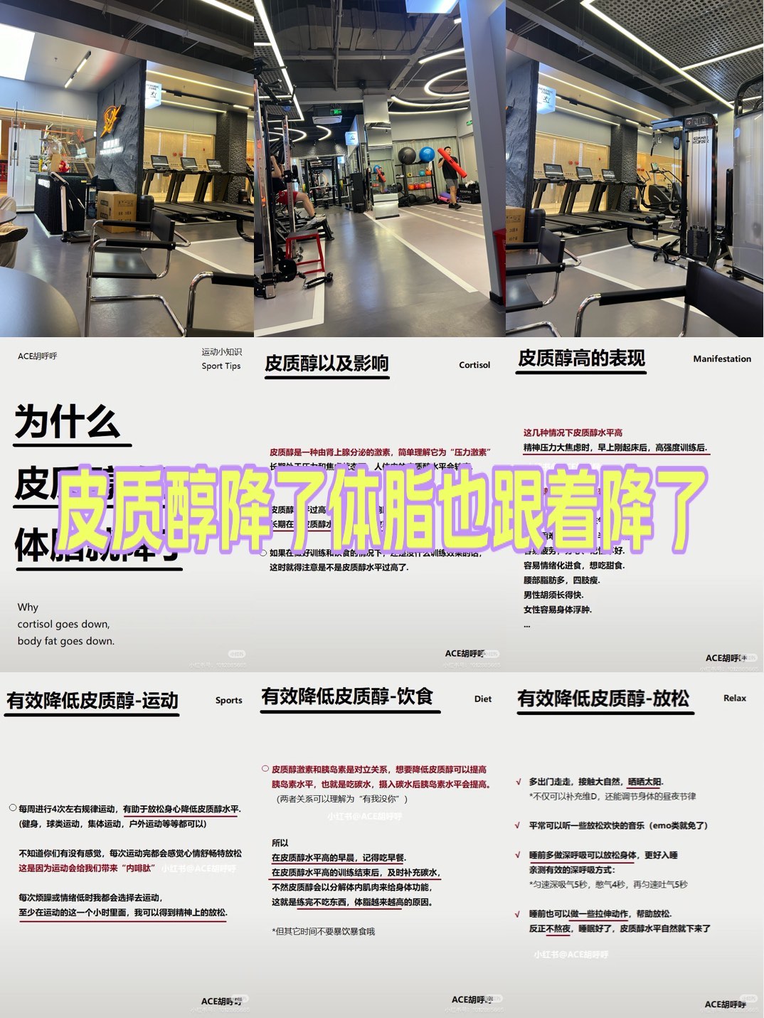 皮质醇高怎么治疗-(皮质醇偏低有什么危害)