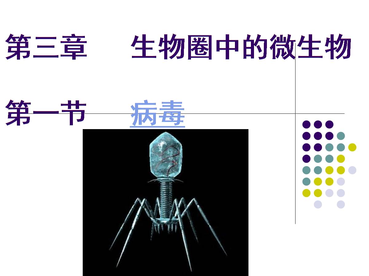 病毒是什么生物(为什么病毒是生物)