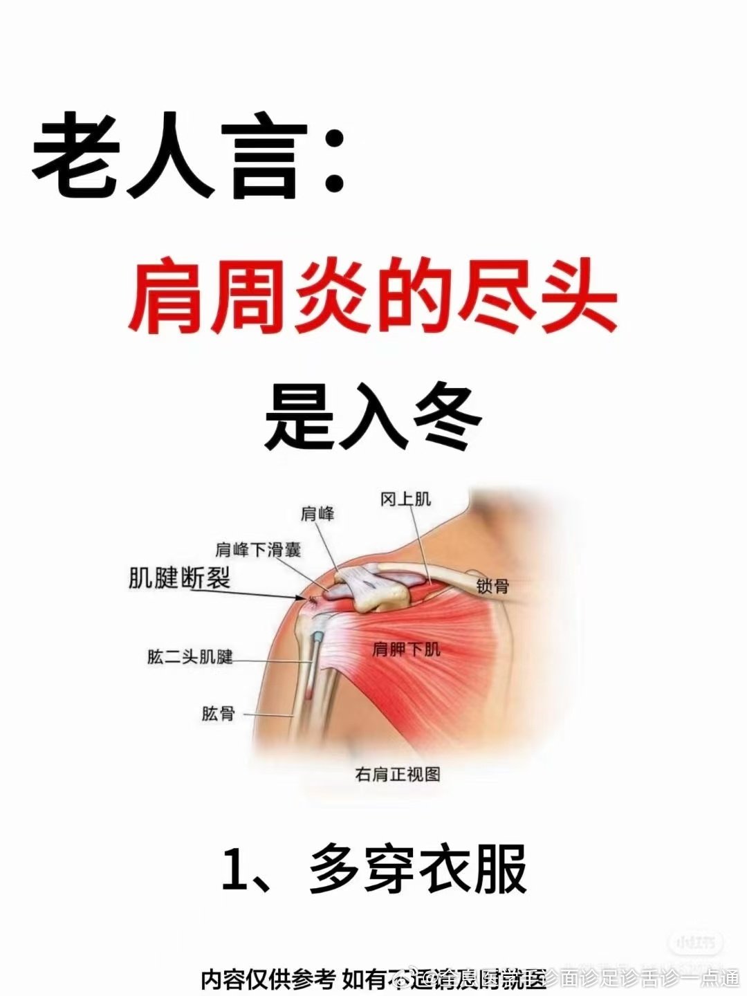 肩膀疼痛挂什么科_(肩膀疼痛挂什么科好女性)