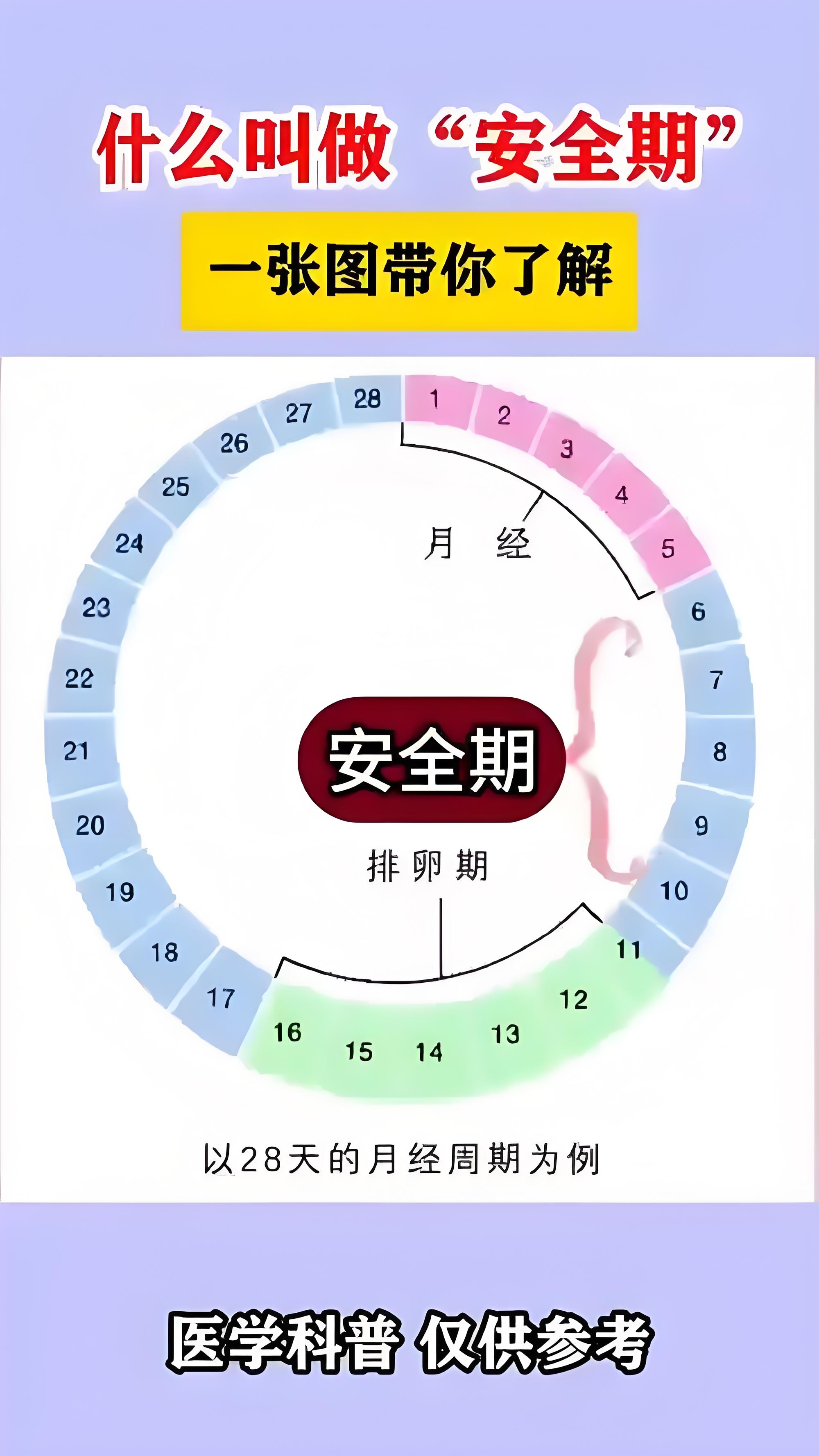 大姨妈测算日期(月经周期排卵参照表)