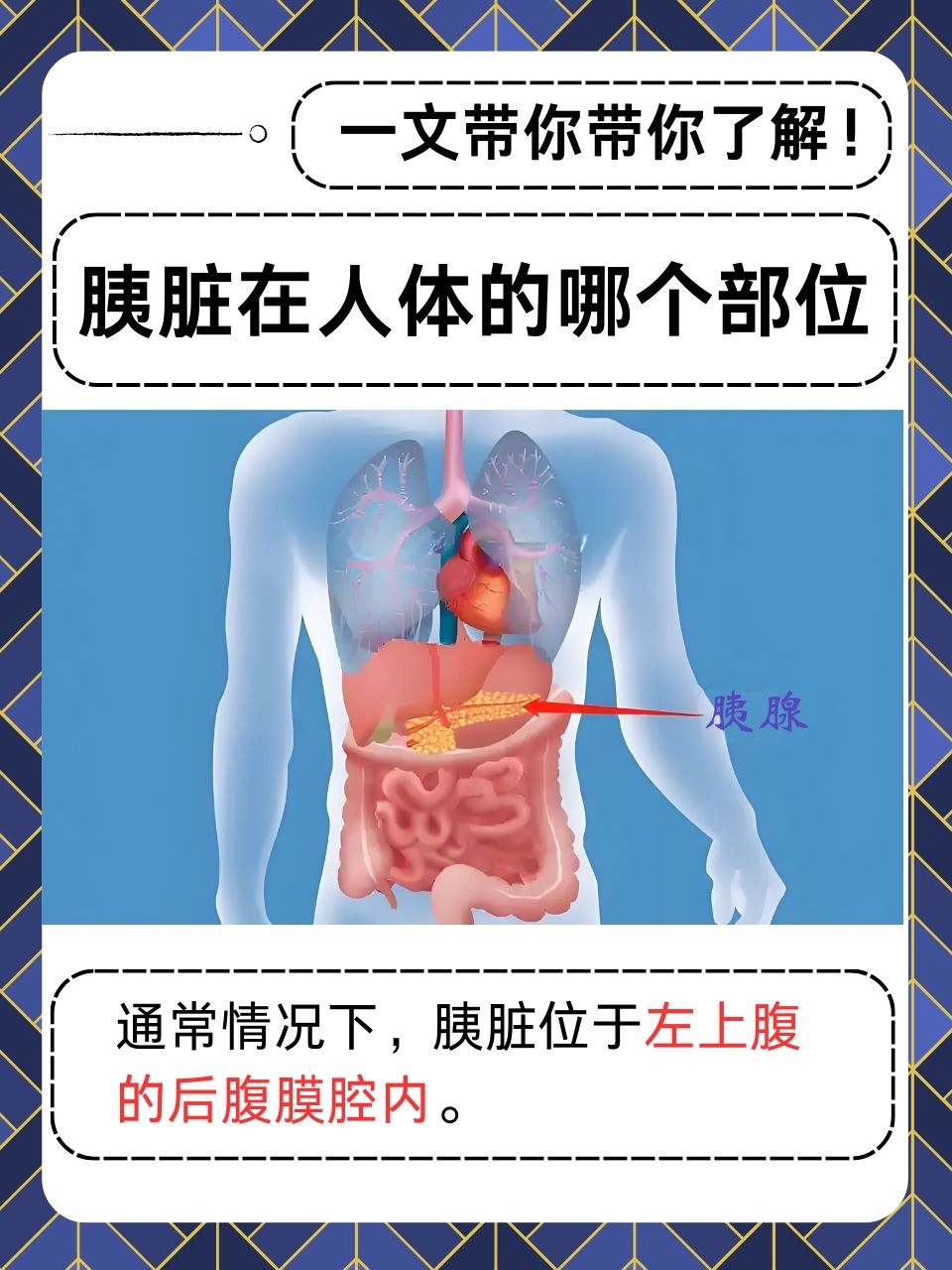 胃在左侧还是右侧-(胃在左侧还是右侧啊)