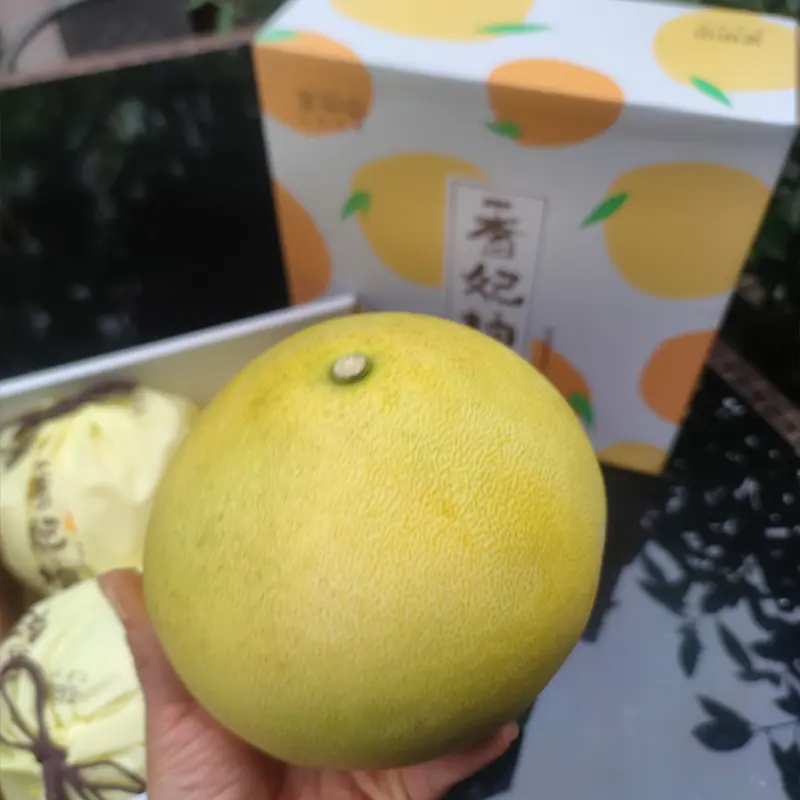 香妃柚(香妃柚子)