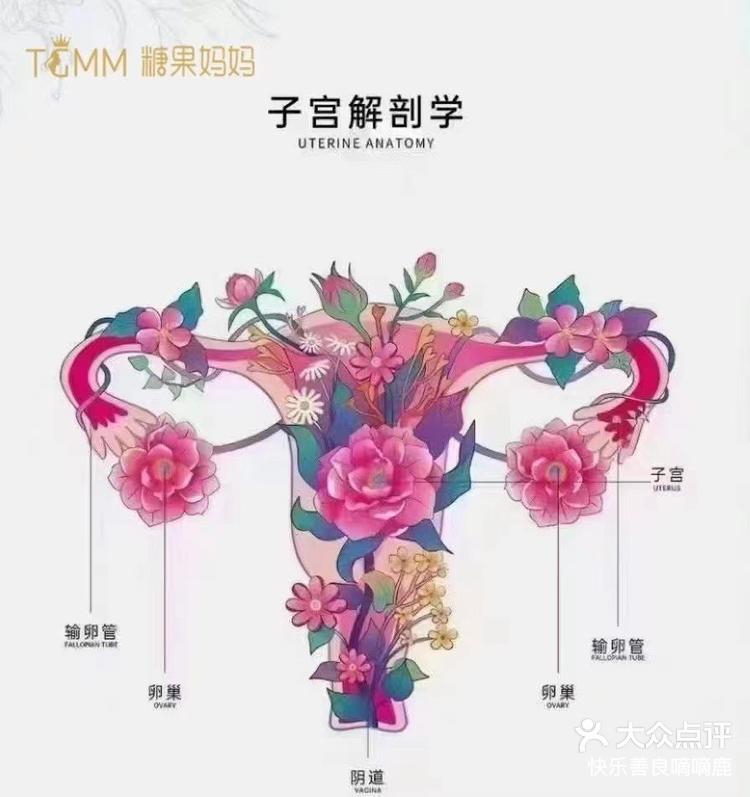 子宫保养方法_(子宫保养方法名称)