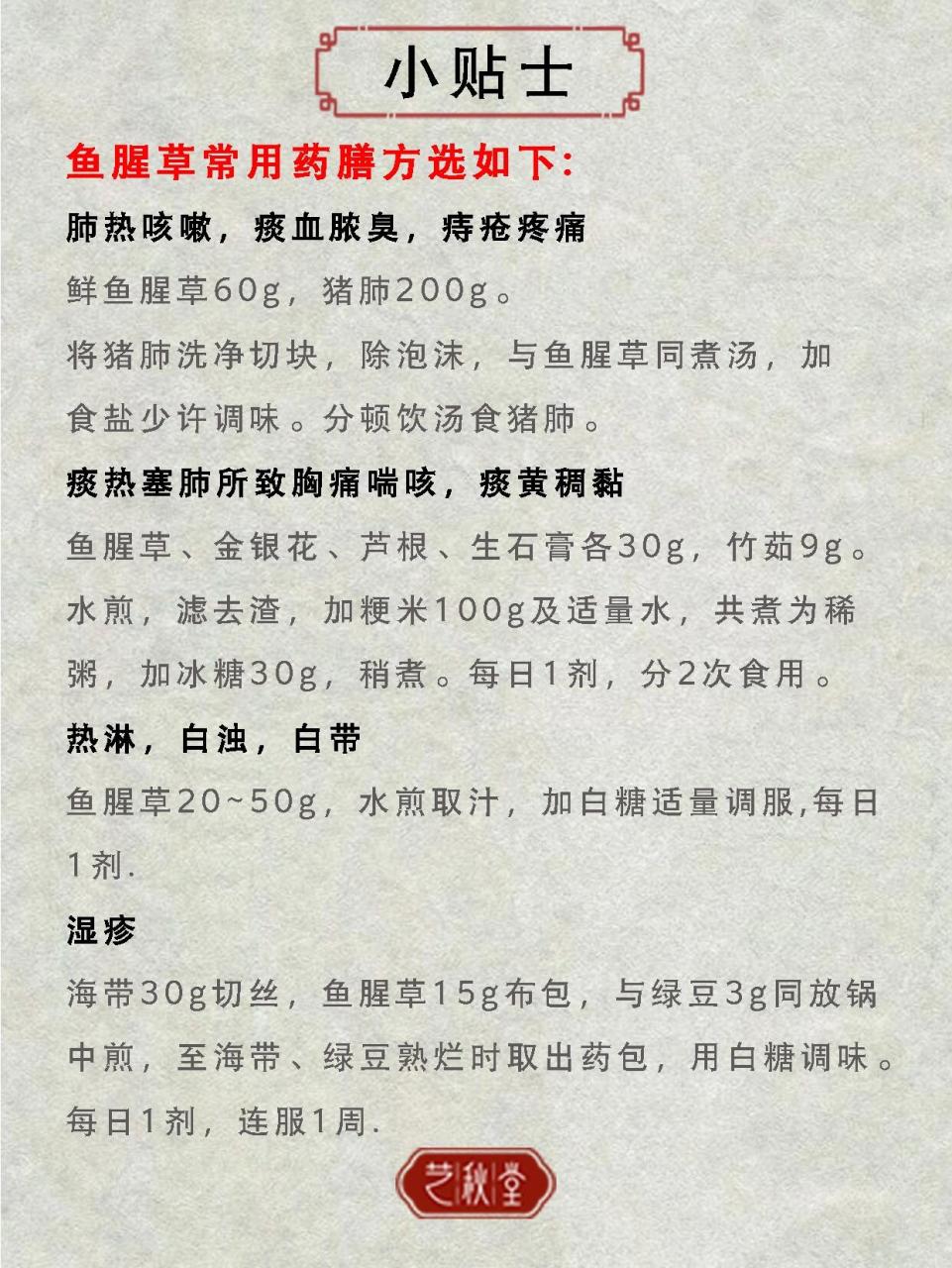 鱼腥草是折耳根吗_(鱼腥草是折耳根吗它的功效和作用)
