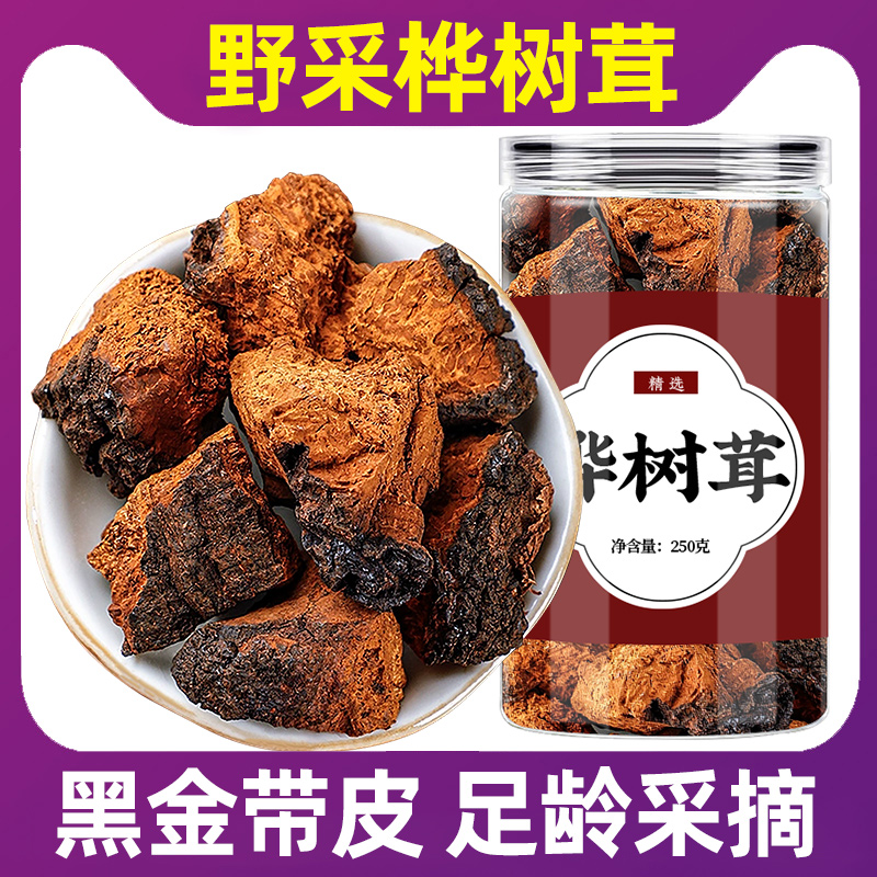 桦树茸的功效(桦树茸的功效和食用方法)