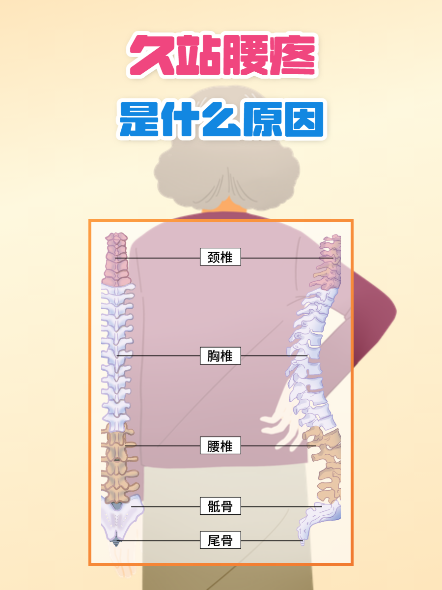 背心疼痛的原因_(劳累后背心疼痛的原因)