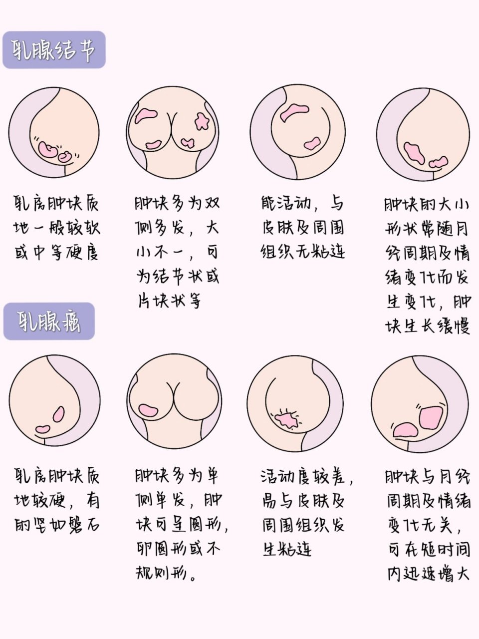 女生乳头小-(女生乳头小是什么原因引起的)