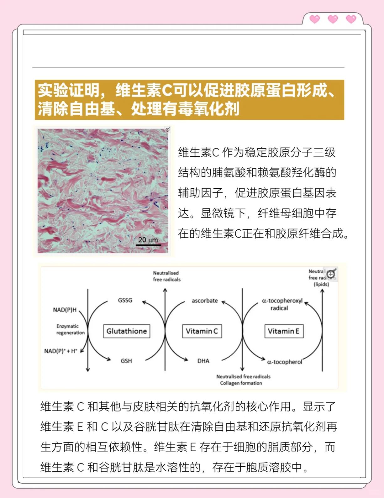 维生素c功效_(女人吃维生素c功效)