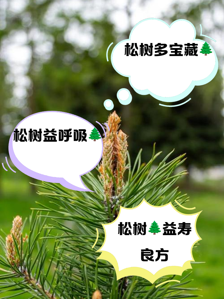 强的松的作用-(强的松的作用与副作用l)