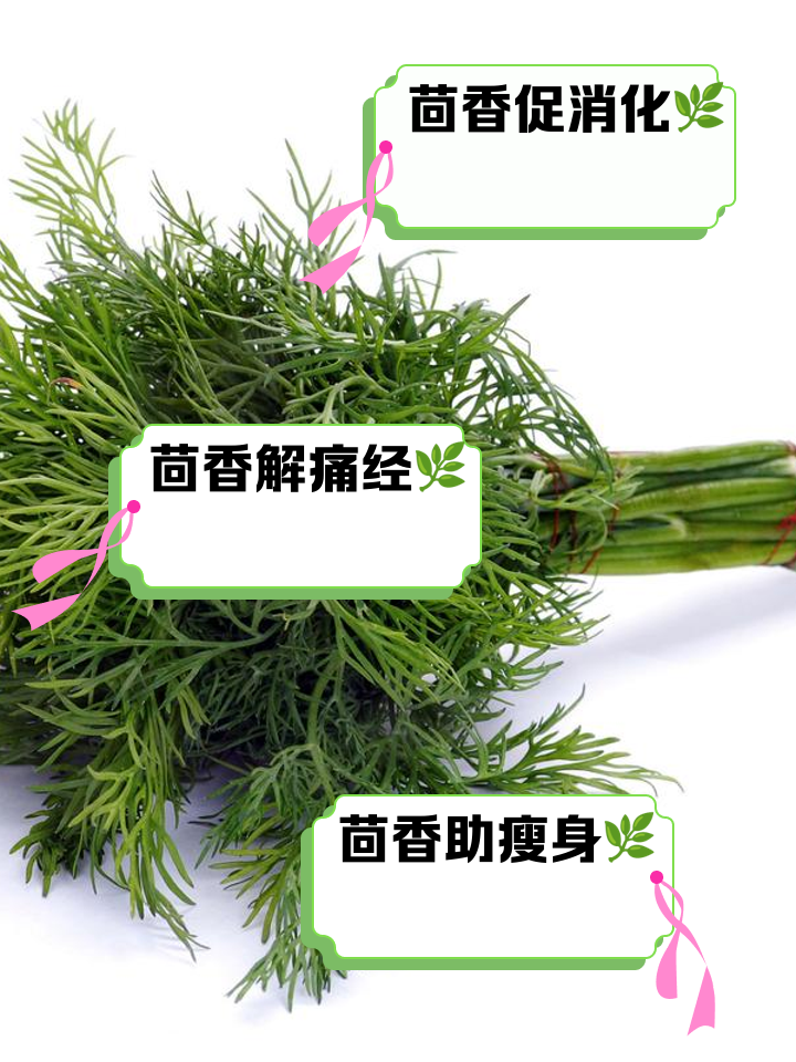 怀孕能吃茴香吗(怀孕人能吃茴香吗)