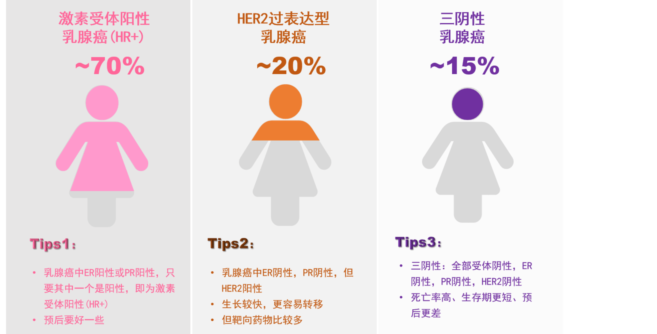 乳腺癌分型_(乳腺癌分型一览表)