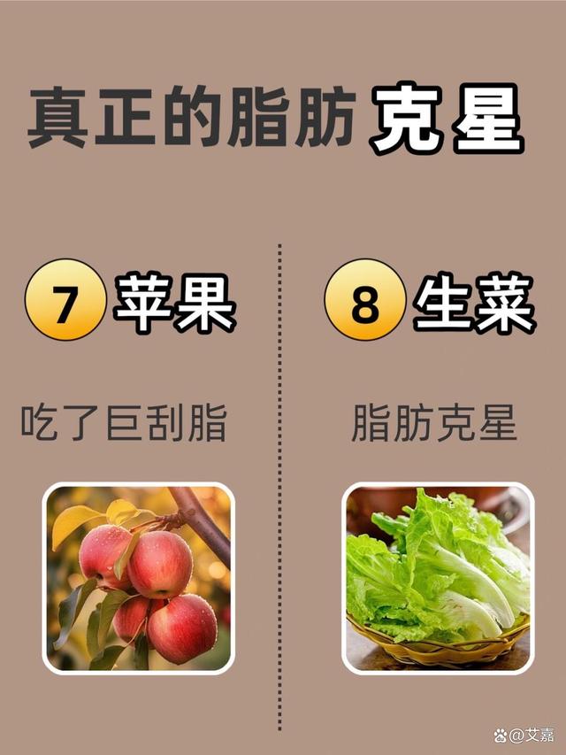 脂肪的克星是什么-(脂肪的克星是什么中草药)