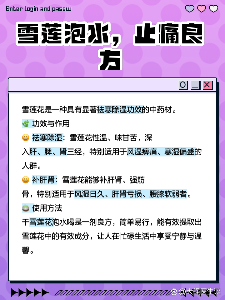 雪莲花的功效-(雪莲花的功效是驱寒治疗关节炎的)
