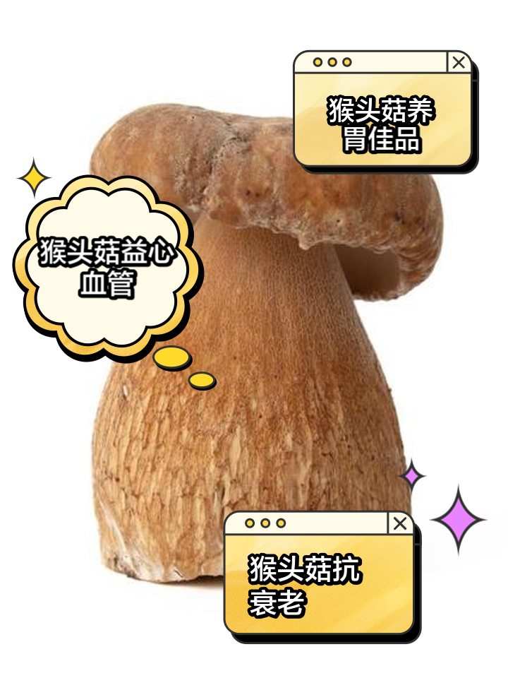 猴头菇食用方法_(干猴头菇的食用方法)