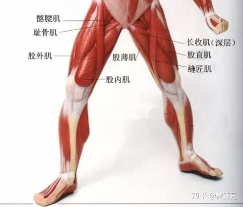 大腿根(大腿根部阴囊两侧潮湿有异味)