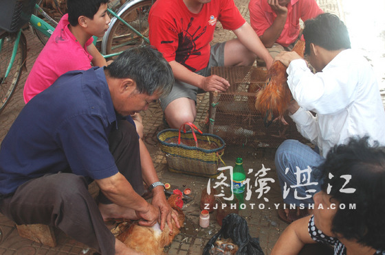 割睾丸_(割睾丸事件)
