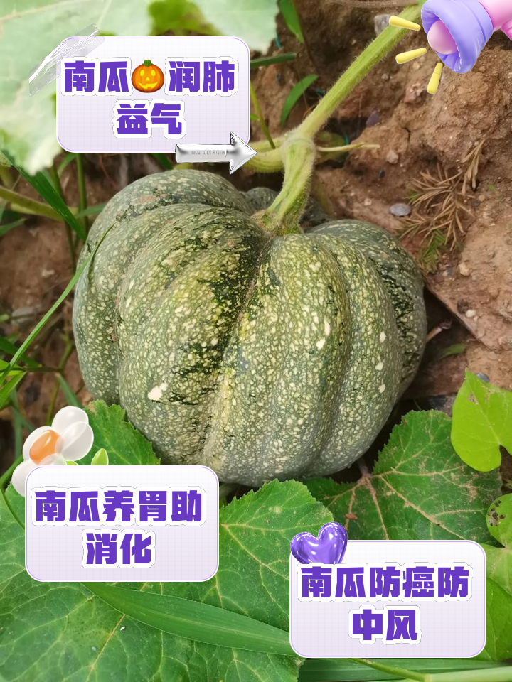 咳嗽能吃南瓜吗-(咳嗽能吃南瓜吗怎么吃)