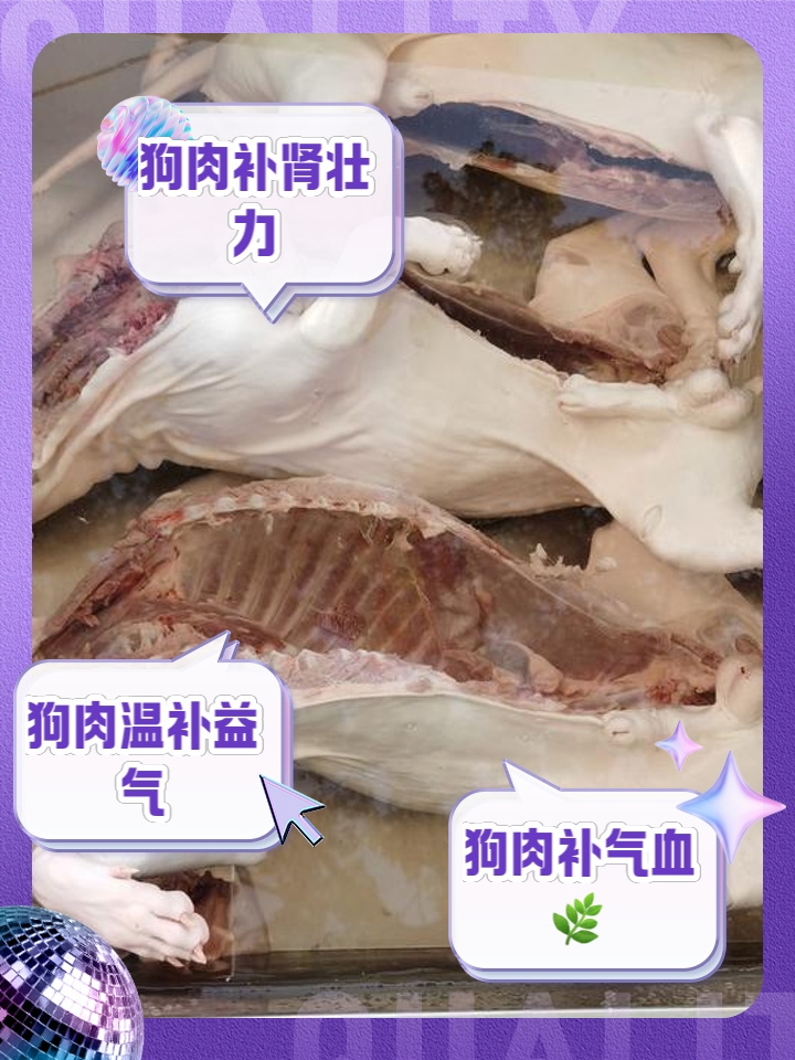 狗肉能不能吃-(狗肉能不能吃有什么危害)