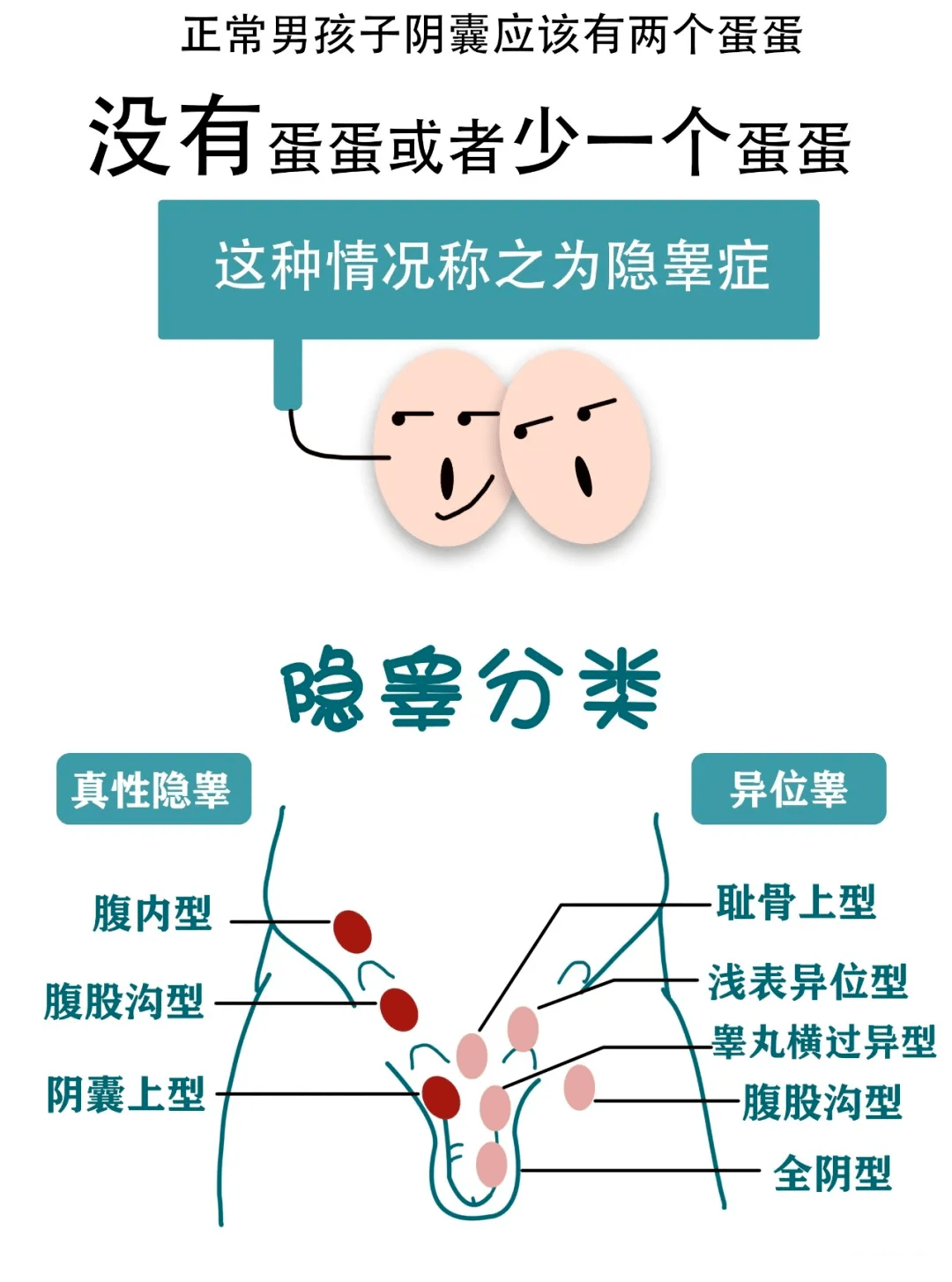 提睾反射-(提睾反射是什么意思)