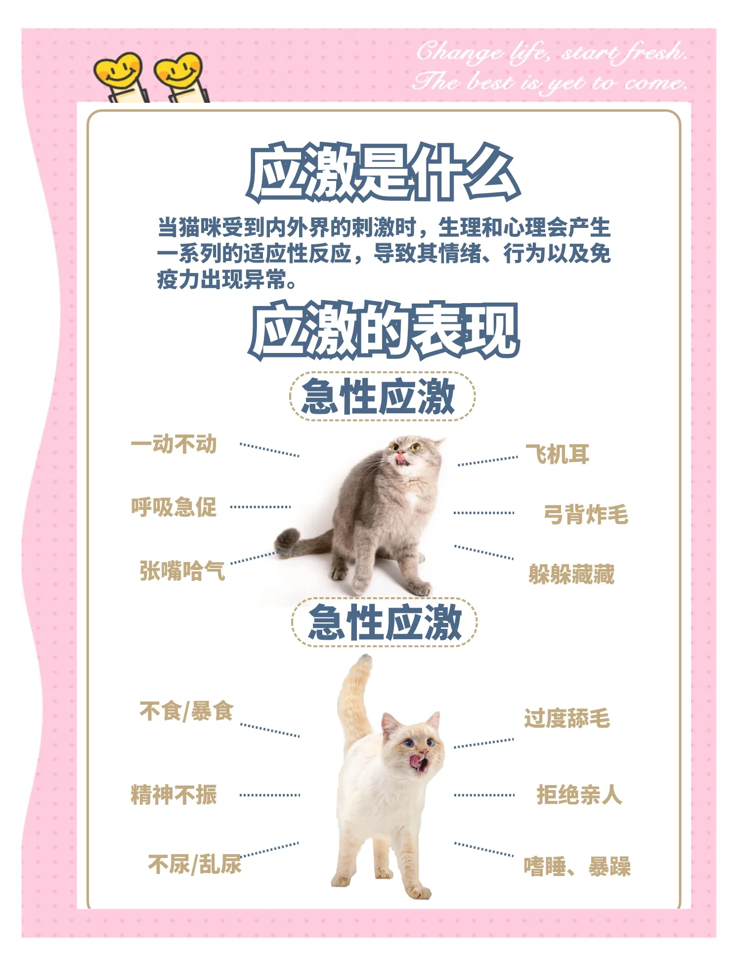 什么是应激反应_(什么是应激反应表现)