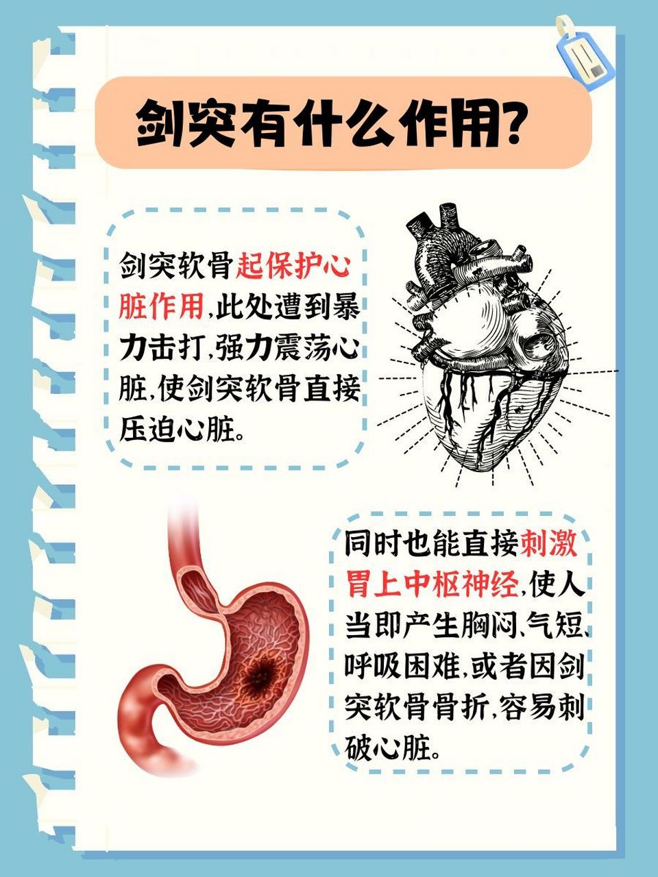 胸椎疼痛怎么治疗-(女人胸椎疼痛怎么治疗)