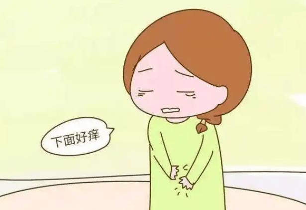 急性外阴炎-(女性急性阴炎能治好吗)