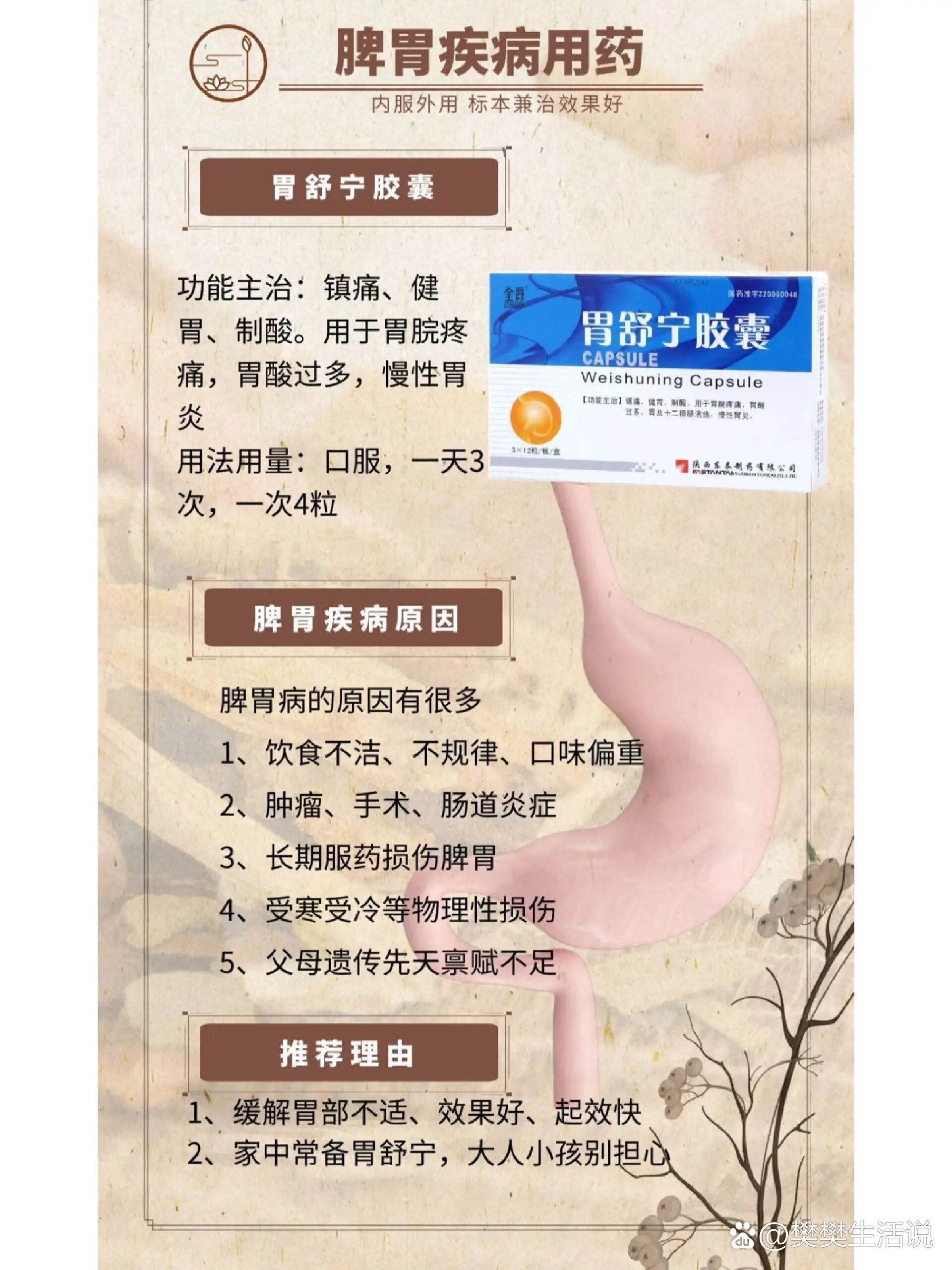 胃酸吃什么_(胃酸吃什么主食好)