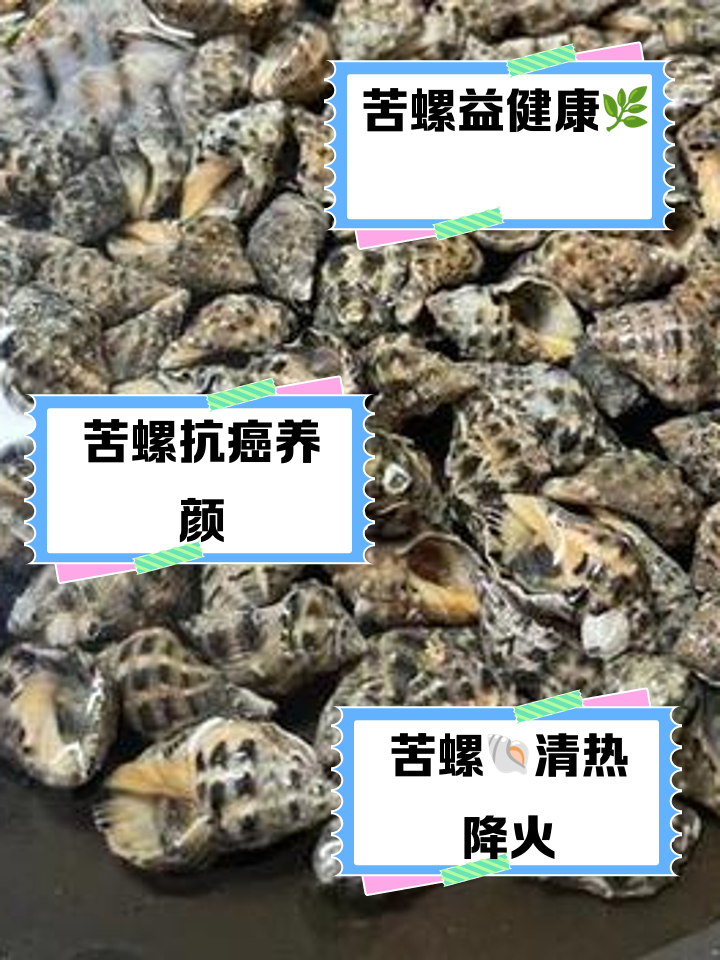 苦螺-(苦螺要煮几分钟)