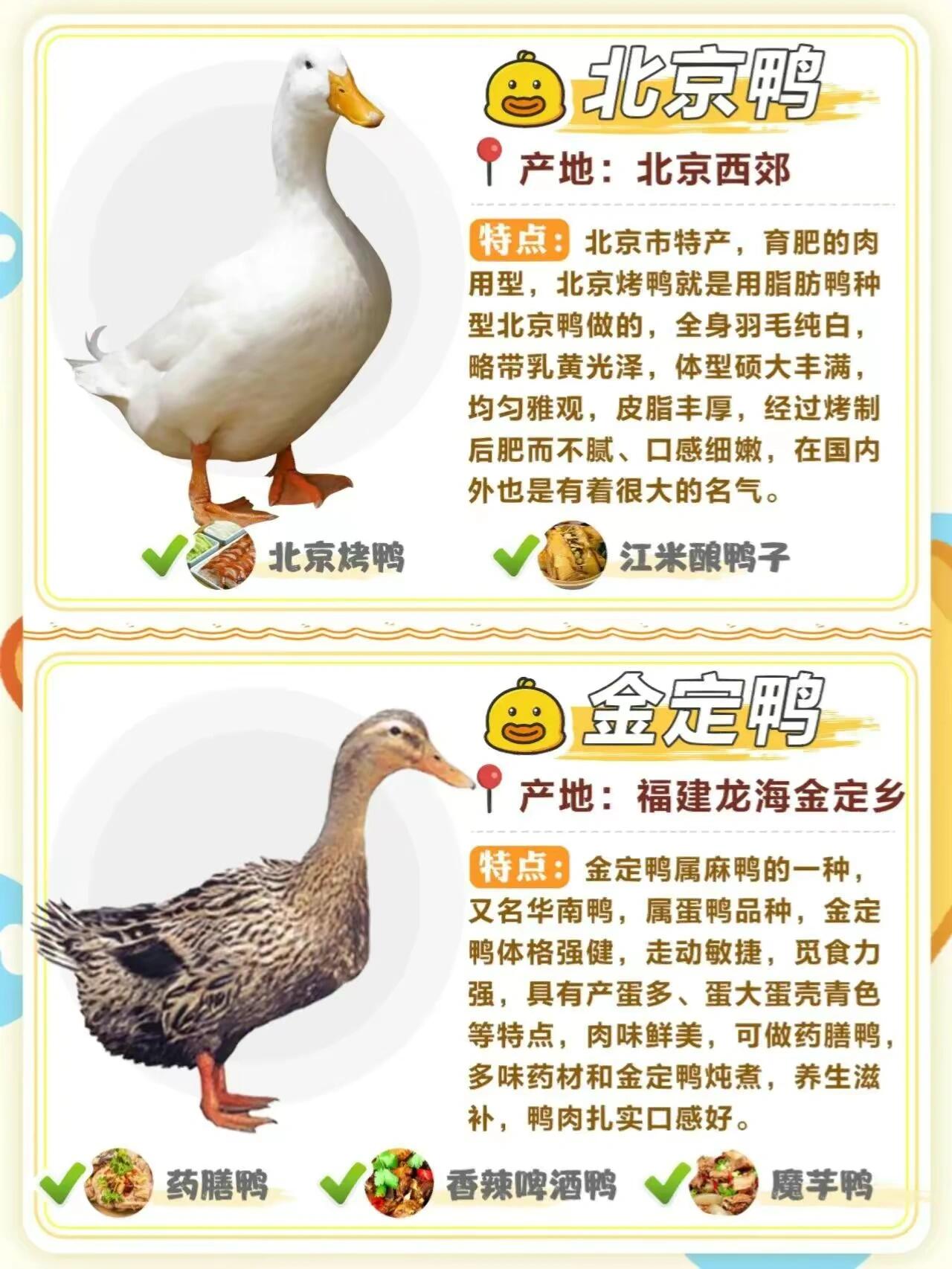 野鸭子能吃吗(野鸭子能吃吗?)